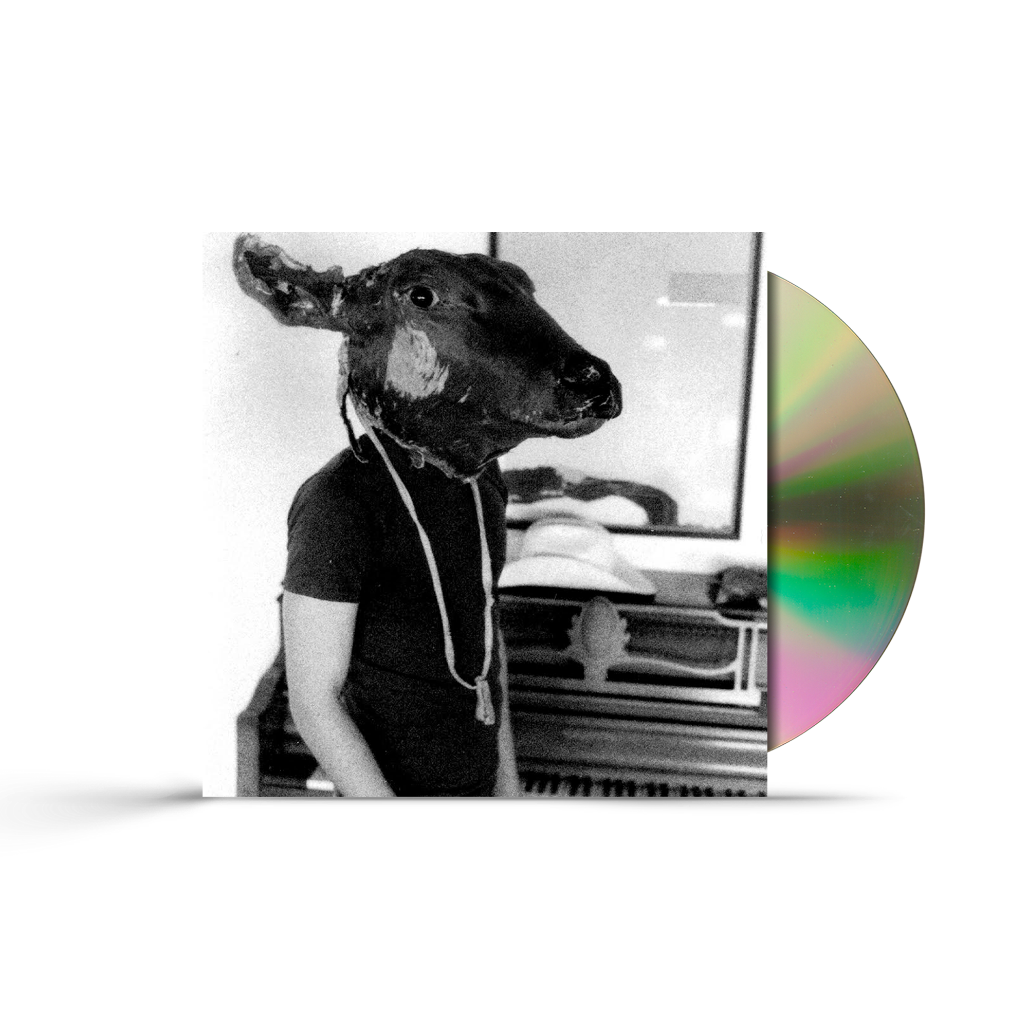 Roll The Bones - CD